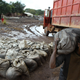 A man carries unrefined cobalt near a mine in the southeastern Democratic Republic of Congo